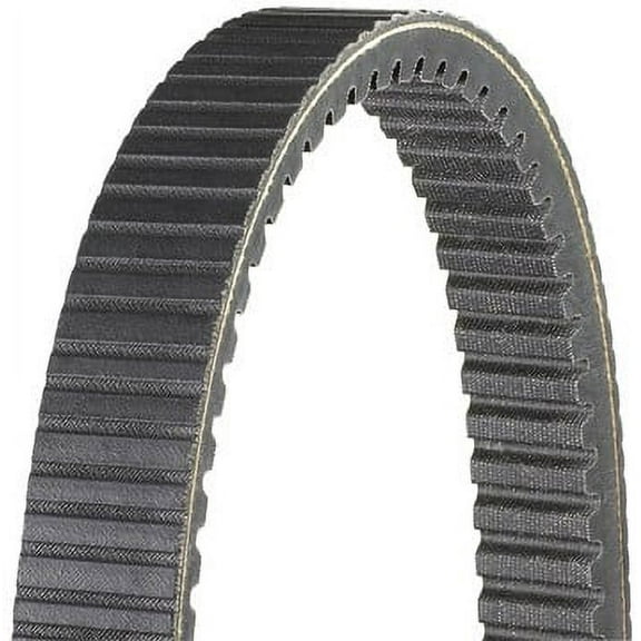 Dayco - HPX High Performance Extreme Drive Belt