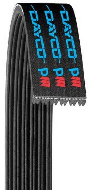 Dayco Fan Belt | 6PK1019EE - Auto Parts Guys