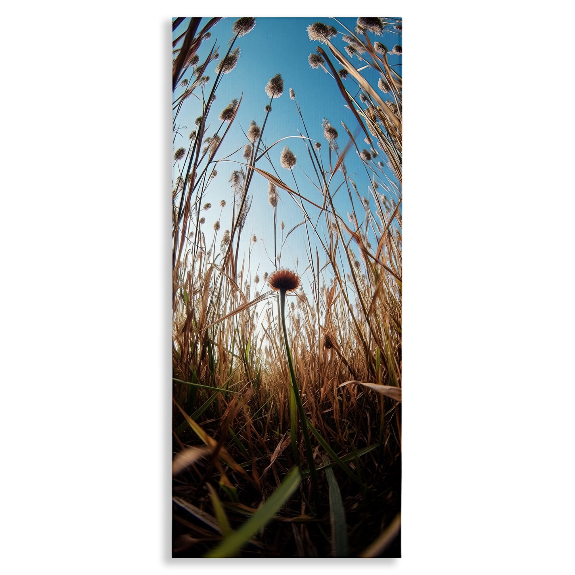 Daydream Botanical Meadow Canvas Wall Art, design by Decent Exposures