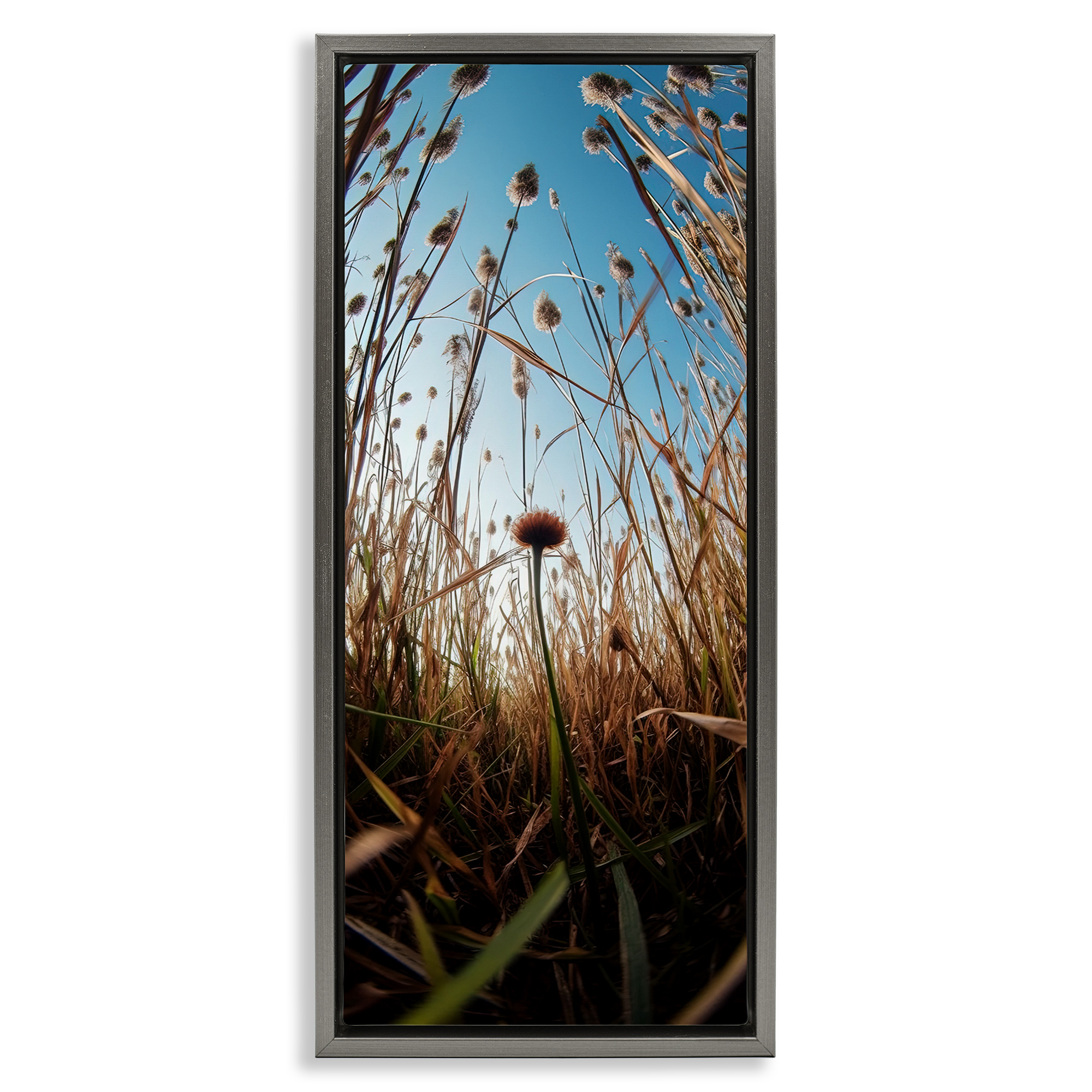 Daydream Botanical Meadow Gray Framed Floater Canvas Wall Art, design by Decent Exposures