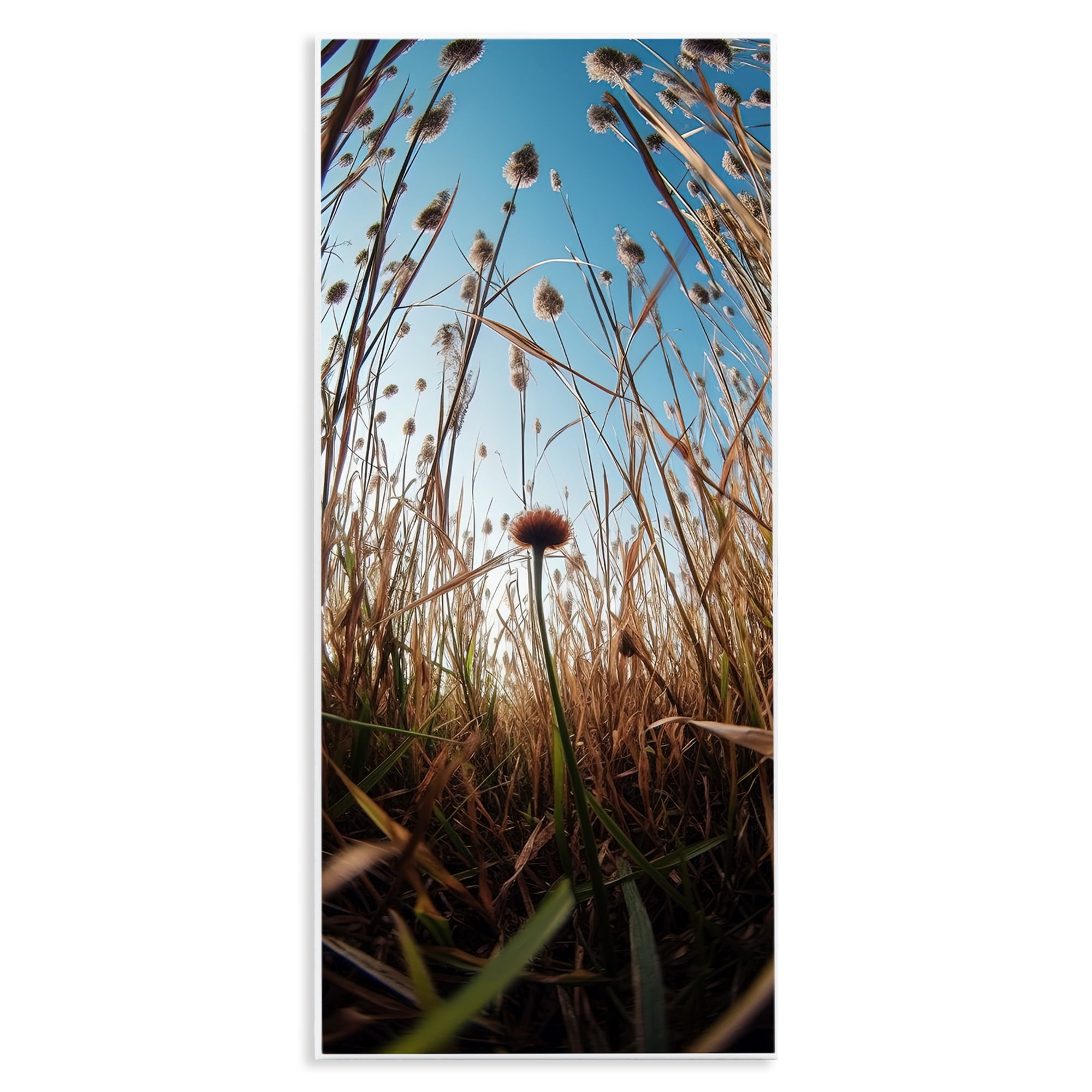 Daydream Botanical Meadow Wall Plaque Art, design by Decent Exposures