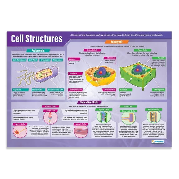Daydream Education Cell Structures Science Classroom Poster Laminated ...