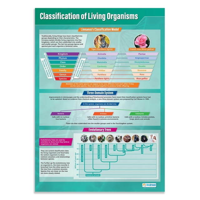 Daydream Education Classification of Living Organisms Classroom Poster ...