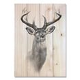 thumbnail image 1 of DaydreamHQ CJGG-1420 Charcoal Deer Portrait Wood Art Print, 1 of 1