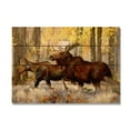 thumbnail image 1 of DaydreamHQ MKTCO-2014 Two Moose in Autumn Forest Painting Wood Art Print, 1 of 1