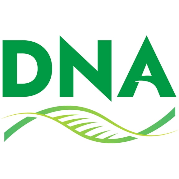 Daye 84005371 KIT, PULLEY ASSEMBLY