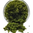 thumbnail image 1 of WEUVEB Realistic Green Model Static Grass Powder for DIY Train Diorama and Scenic Layouts, 1 of 8