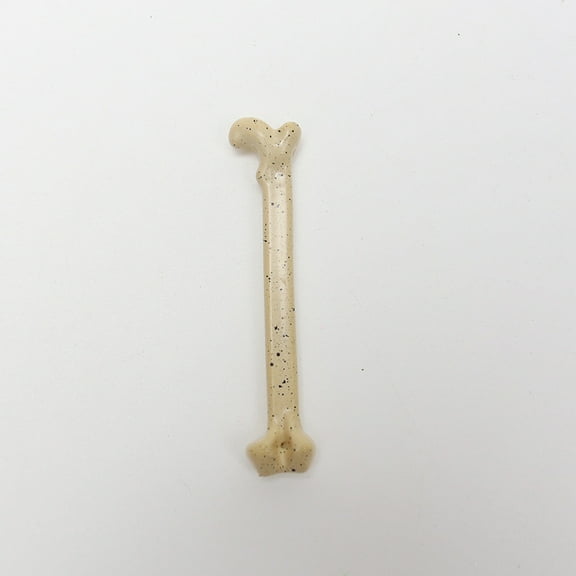 WEUVEB Realistic Multi-Color ABS Skeleton Bones for Party Decor, Props, Crafts, and Educational Use