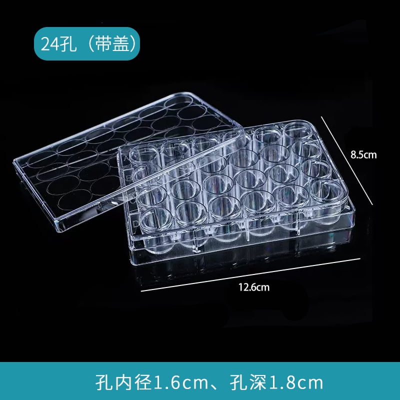 Observing Plate WEUVEB 2-Pack Clear Plastic Petri Dishes for Cell Culture, Laboratory ...