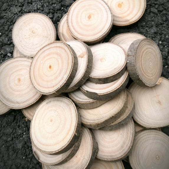 Dayesque 30pcs Wooden Craft Supplies Unfinished Small Wood Slices For Painting Round Wooden Discs For Diy Projects Natural Wood Chips Tree Bark Slices