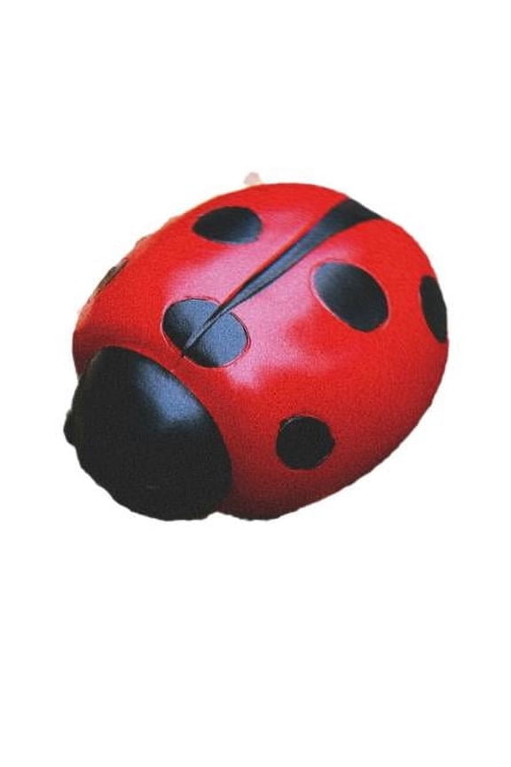 Ladybug Key Storage Container Weatherproof Outdoor Yard Key Holder Box with Decorative Garden Design