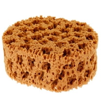 WEUVEB Reusable Seaweed Sponge Paint Tool with Unique Dot Print Design