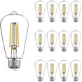 Daylight Led Bulbs, 4 Watt ST19 Edison 5000K Daylight LED Light Bulb ...