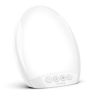 Daylight Therapy Lamp, UV-Free Touch Control Light with Rotatable Stand & Timer Function, Portable Full Spectrum LED Light for Seasonal Blues