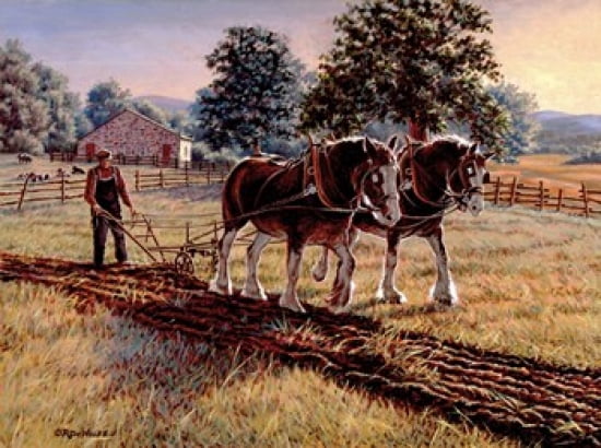 Days of Gold Canvas Art - Richard De Wolfe (31 x 23)
