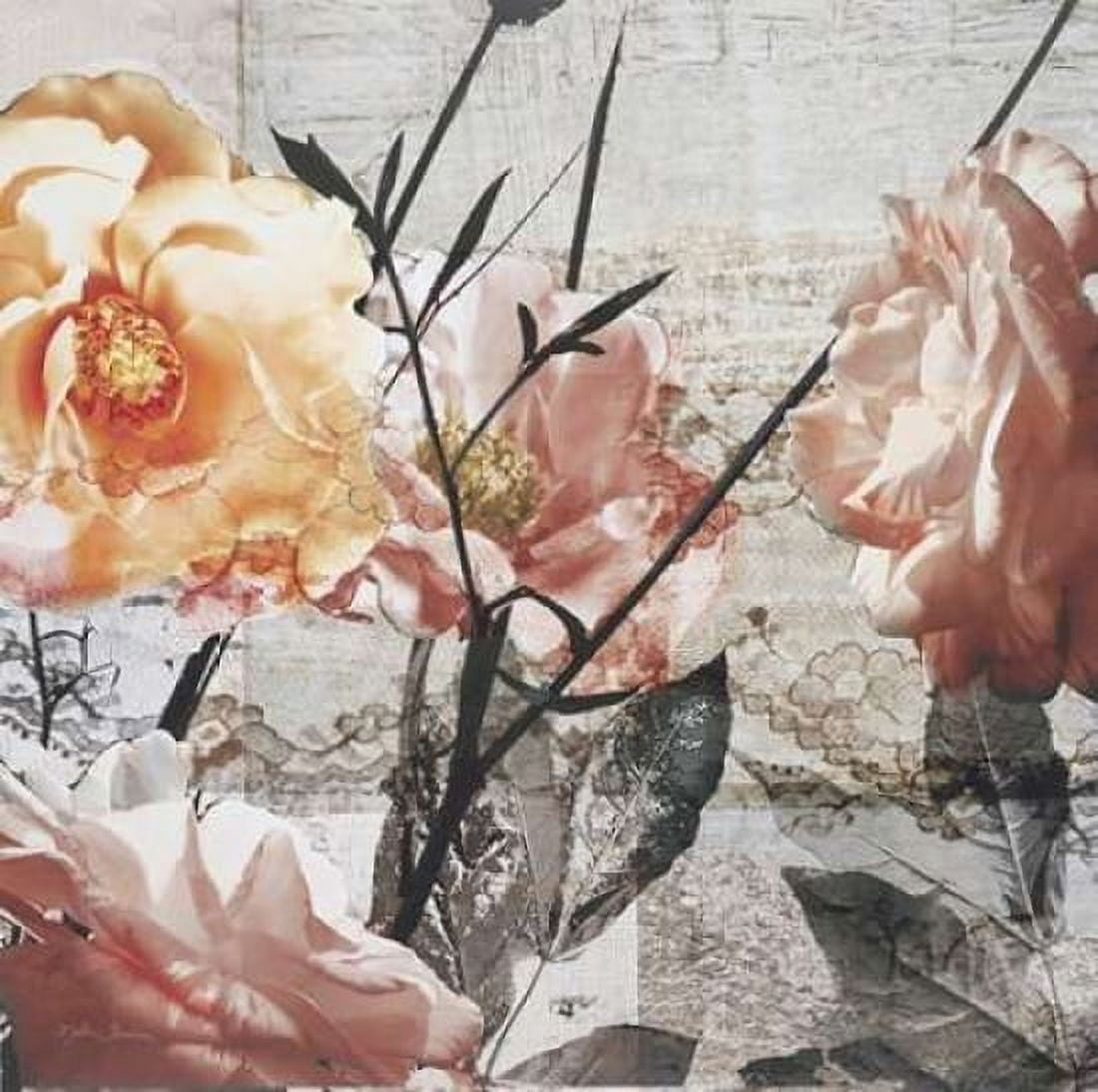 Days of Roses Canvas Art - Matina Theodosiou (24 x 24)