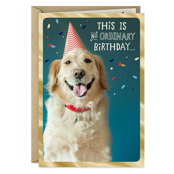 Dayspring Birthday Greeting Card (Dog in Party Hat)