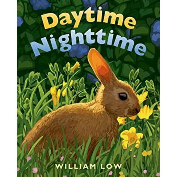 Pre-Owned Daytime Nighttime (Board book) 1627791728 9781627791724