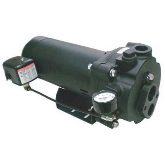 Dayton Convertible Jet Pump,CI,1/2HP,115/230V 5UXK3