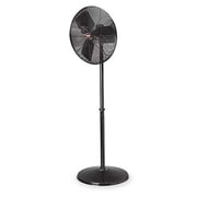 Dayton 1RWB5 Air Circulator, 30 In, Pedestal Mount J101