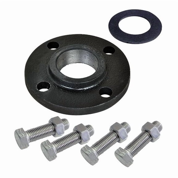 Dayton Booster Pump Flange Kit, Cast Iron, NPT 21R870