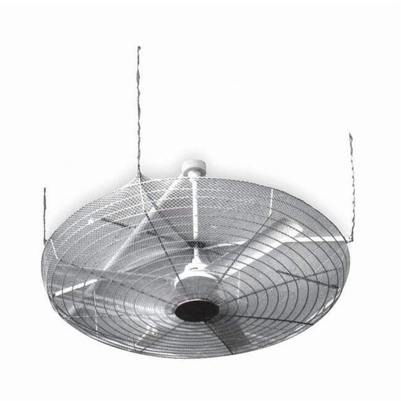 Dayton Ceiling Fan Guard,61 in. Dia.,Chrome 40032