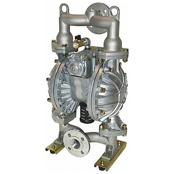 Dayton Dbl DphrmPmp,NPT/Flange,TPV,1/2in,115gpm 3HJX1