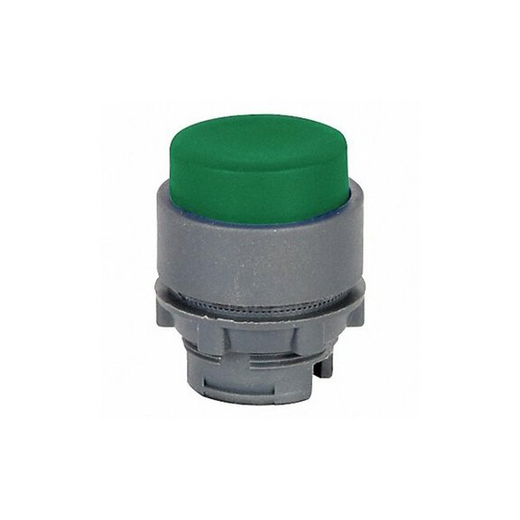 Dayton Extended Push Button, Green, 22mm 30G101