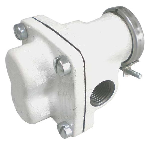 Dayton Rotary Gear Pump Head