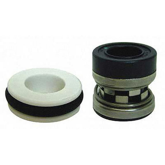 Dayton Gear Pump Mechanical Seal,Buna, Viton 4KHK8