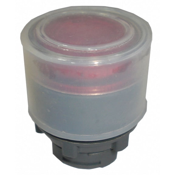 Dayton Illum Push Button Operator,22mm,Red 30G140