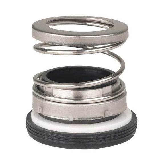 Dayton Mechanical Seal 201100061