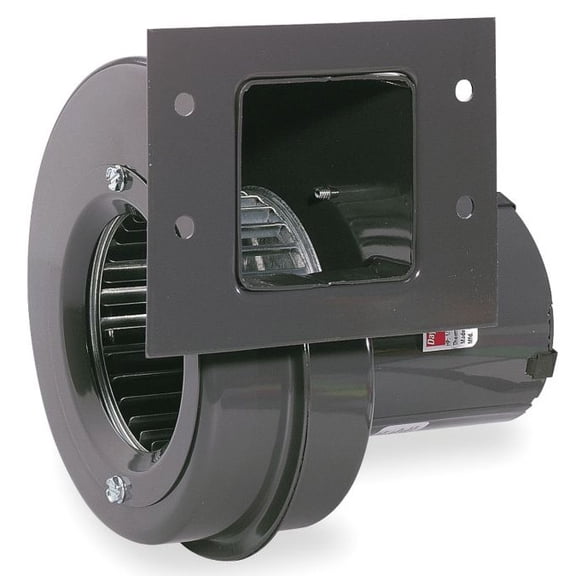dayton model 1tdp5 blower 131 cfm 2860 rpm 115v 60/50hz (2c610, 4c442)