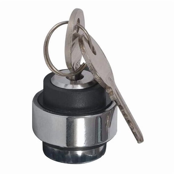 Dayton Non-Illum Selector Swtch,22mm,3 Pos,Keyd 30G288