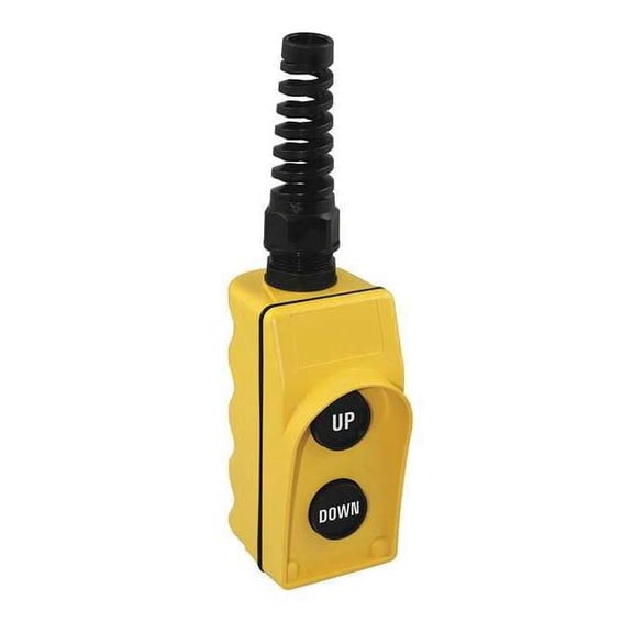 Dayton Pendant Station,2NO,Yellow 20C812