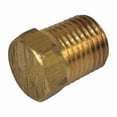 thumbnail image 1 of Dayton Pipe Plug,1/4 NPT PP60155G, 1 of 1
