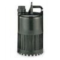 Dayton 1/3 HP Black Polypropylene Utility Pump