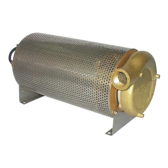 Dayton Pump, Fountain, 1/3 HP 5RWG1