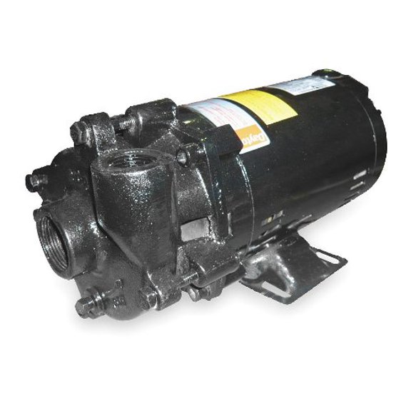 Dayton Pump,1/3 HP,1 Ph,115/230VAC 2ZWN9-1 Each CA2