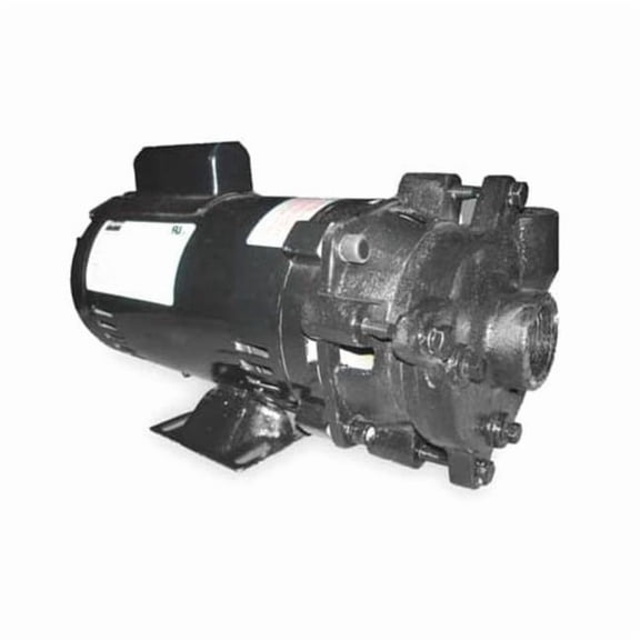 Cast Iron 1 HP Centrifugal Pump 115/230V 2ZWP5