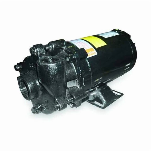 Cast Iron 1 HP Centrifugal Pump 208-230/460V 2ZWP6