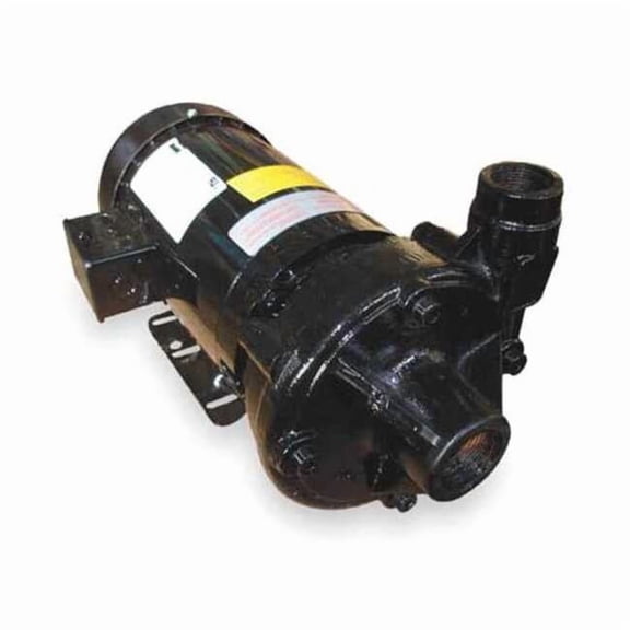 Cast Iron 2 HP Centrifugal Pump 208-230/460V 2ZXN7