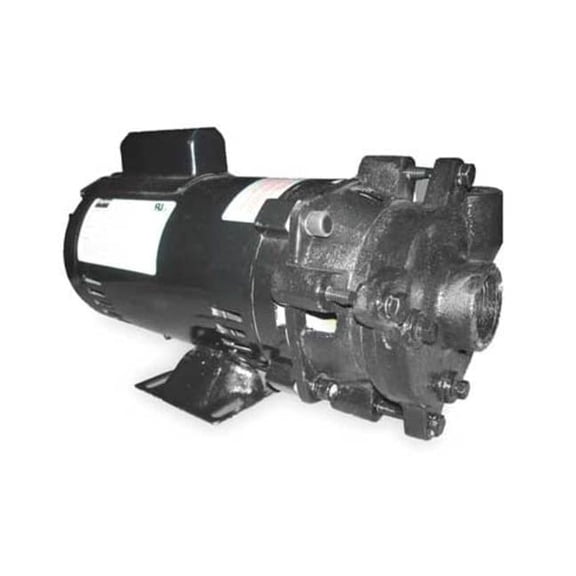 Dayton Cast Iron 3/4 HP Centrifugal Pump 115/230V 2ZWP3