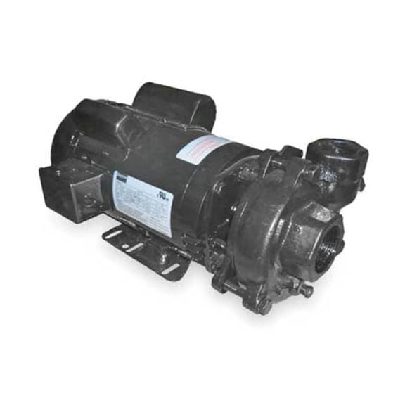 Dayton Cast Iron 3 HP Centrifugal Pump 230V 2ZWR2