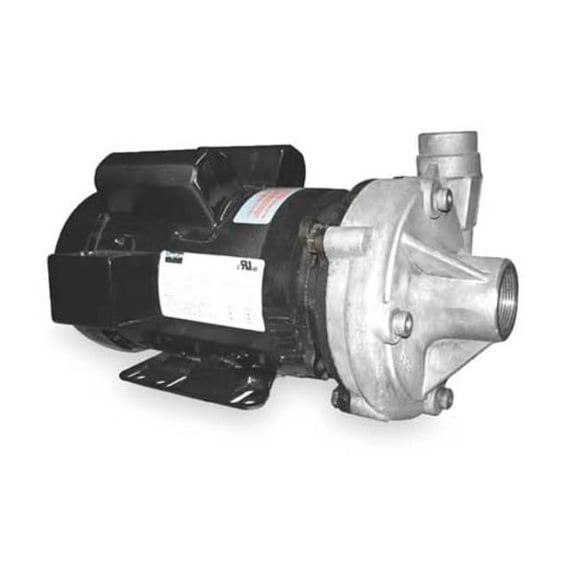 Dayton Stainless Steel 3 HP Centrifugal Pump 230V 2ZXL5