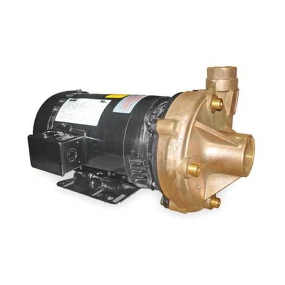 Dayton Bronze 3 HP Centrifugal Pump 208-230/460V 2ZXA8