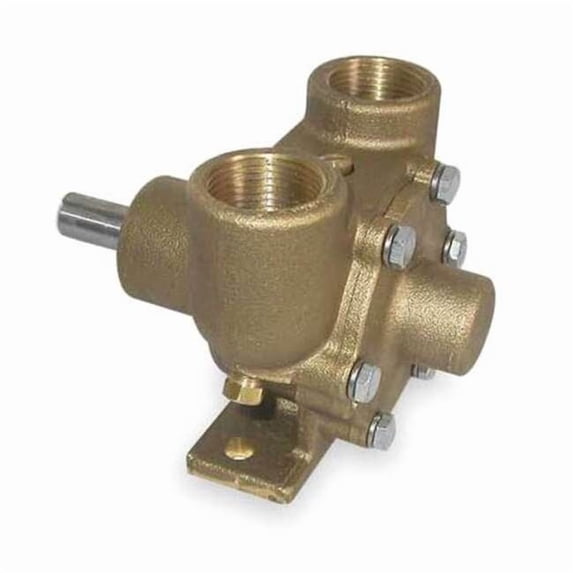 Dayton Pump, Pedestal, Inlet/Outlet 1 In 3ACB2