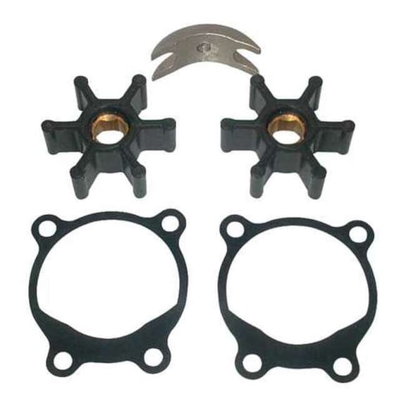 Dayton Pump Repair Kit 5UXN1