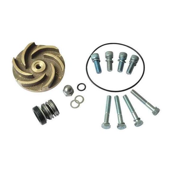 Dayton Pump Repair Kit,For 2ZWR5A,2ZWR6A 21TG50