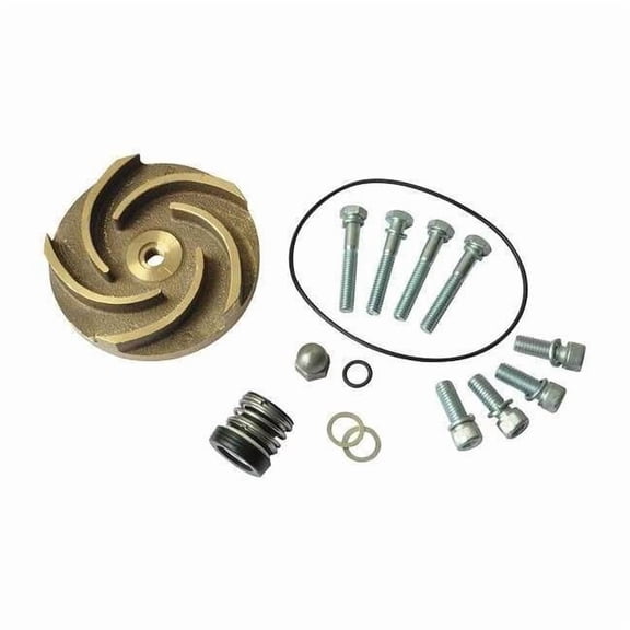 Pump Repair Kit,For 2ZWT2A,2ZWT3A 21TG56